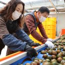 최광호농장 이미지