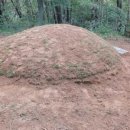 진주산소 이미지