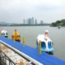 한강오리 이미지