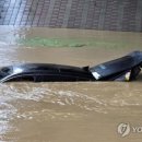시장유통 네이버블로그