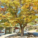 곳티경로당 이미지