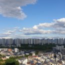 사쿠사쿠효성백년가약점