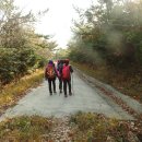 헌복동2 이미지