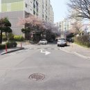 금호공인중개사사무소 이미지