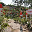 뚝섬한강공원-23 이미지