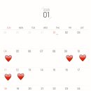 뉴아즈헤어 - 제주시 | 뉴아즈헤어