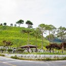 추모공원 관리사무소 이미지