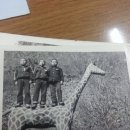 오류초등학교 이미지