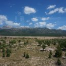 구길리 | 두브로브니크로! / 성벽 근처 두브로브니크 숙소 후기, 게스트 하우스 구길리(Guest House Gugily)