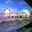 HS메디칼 | 여수 아쿠아플라넷 주차비 요금 및 가는법 아기랑 벨루가 보고온날 🐬