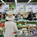 Consumer prices grow at slower pace in Aug. 8월에 유가하락속에 물가 상승세 약화 이미지