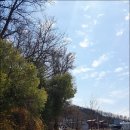 신한코리아 이미지