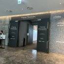강산금박 | 판교 현대백화점 전시 동네에서 이런 작품을 하이퍼컬렉션전 캔버스 크로니클스 -5/26