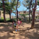 함주공원 | [경남 함안] 새로 오픈한 제주 감성의 대형 신상카페[샬로우커피 함안점](ft.함주공원)