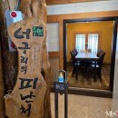 너구리의 피난처 이미지