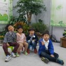 한국국제관광주 이미지
