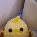 1129 | 251126-1129 나고야 여행기 4일차