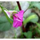 마음의 양식 이미지