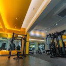 오에스짐레이디 이미지