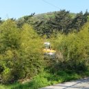 백세농장 이미지