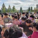 회천초교 이미지