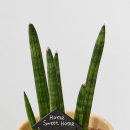 초록할인마트 이미지