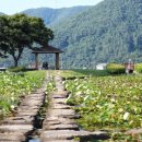 연담공원 네이버블로그
