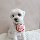 몽심살롱 이미지