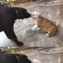 개린이날 이미지