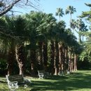 수줍은 언니네 이미지