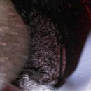 남강휴먼빌 아파트 이미지