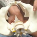 우리콩협동조합 이미지