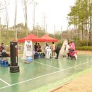 경희대다솔태권도장 이미지