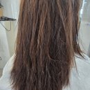 블루 아리아 | 세종 반곡동 극손상모발 펌 잘하는곳 세종 장루이다비드 소정부원장 아리아펌 리얼 후기