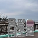 카페마인 | [경기도/화성시] 궁평항 카페추천 월드챔피언 바리스타가 운영하는 디마인카페