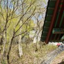 바라보다민박 이미지