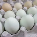 푸른알 영농조합법인 이미지