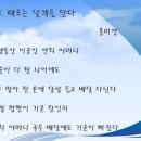 삶도 때로는 날개를 단다 / 홍미영 이미지