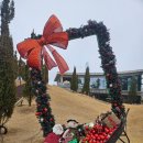 원동로 | 전주 트리카페추천: 디오니카페 내돈내산후기