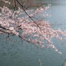 여좌천거리 이미지