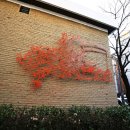 어린이 예술가의 힐링미술 이미지