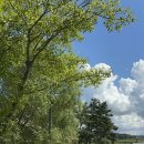 무수목장 이미지