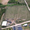 선선태양광발전소 이미지