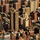 109행정사사무소 이미지