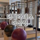 아산아이윌24시동물메디컬센터 | 재활 필라테스 추천 4:1 그룹수업 후기 더필라테스 아산점