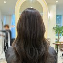 하이브헤어 | 서면역 미용실 추천 야간미용실 하이브헤어 여자커트 염색 윤부실장님 후기