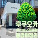 원쇼핑 | 직장인 후쿠오카 2박3일 쇼핑여행 경비 총정리 200만원 탕진 실화냐?! 현실후기 💸