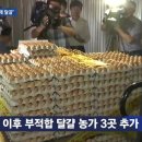 김옥순 농장 이미지