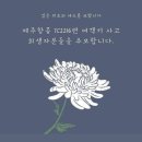 신세계 스타벅스 영업전략기획 최종합격후기/인턴경력❌️합격/삼성,한화,신세계,현대 4관왕/스타벅스...