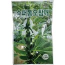 동오슈퍼 이미지